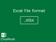 Excel File Format